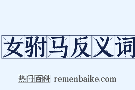 女驸马反义词是什么意思的图片